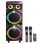 INTEX Boombox DR-1230/100W/2xmic Partybox zvučnik