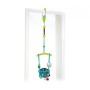 KIDS II Bounce 'n Spring Deluxe Door Jumper 10410