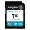 KINGSTON 1TB Canvas Go! Plus (SDG4/1TB)