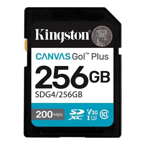 KINGSTON 256GB Canvas Go! Plus (SDG4/256GB)