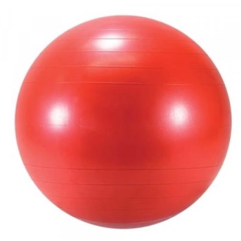 LEDRAPLASTIC Lopta Body ball 55