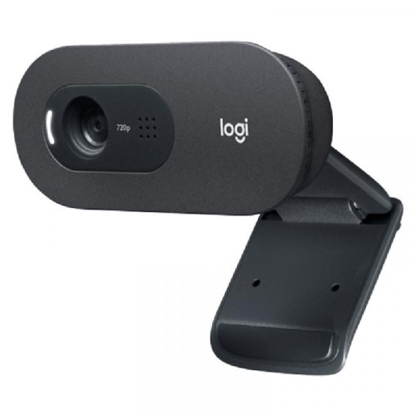 LOGITECH C505e 960-001372