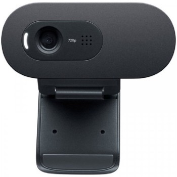 LOGITECH C505E WEBCAM - WW 960-001372