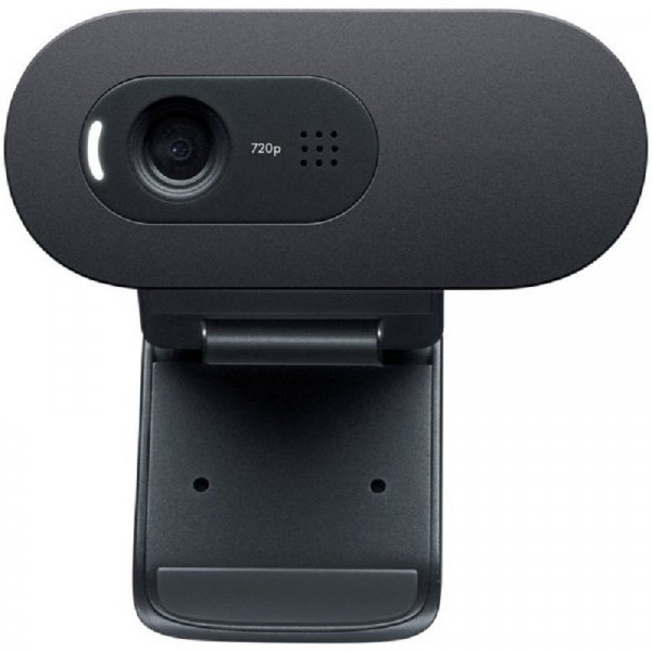LOGITECH C505E WEBCAM - WW 960-001372