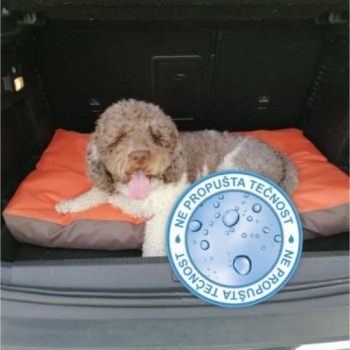 MEMOFORM Ležaj za ljubimce Memoform My Dog memory foam