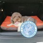 MEMOFORM Ležaj za ljubimce Memoform My Dog memory foam