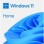 MICROSOFT Windows 11 Home 64bit GGK Eng Intl (L3P-00092)