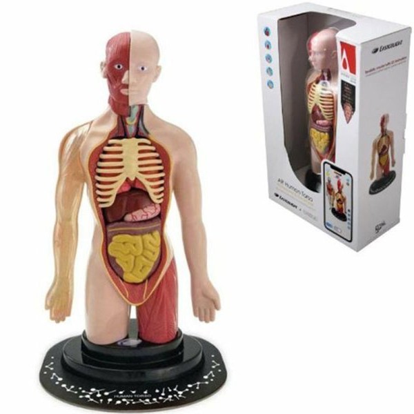 Milla Toys Lutka Ljudski torzo 95/35006