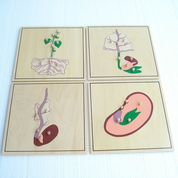 MONTESORI Botaničke puzzle