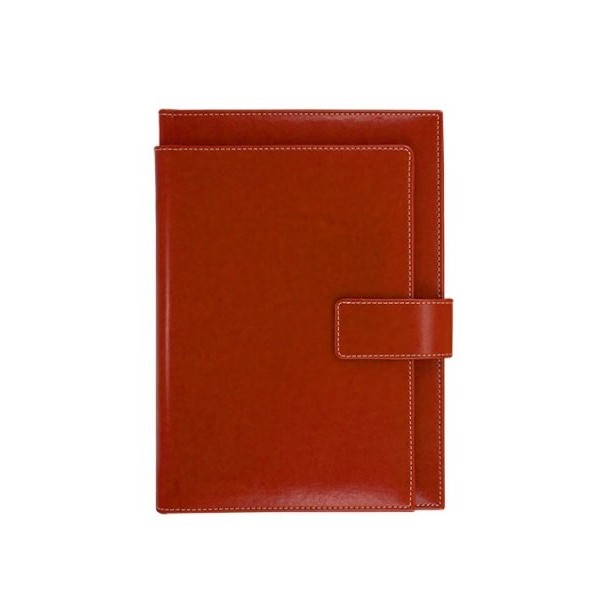 NOVASKIN Agenda B5 EXCLUSIVE Cognac