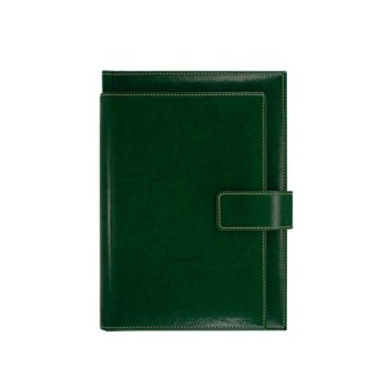 NOVASKIN Agenda B5 EXCLUSIVE Kelly green