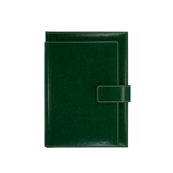 NOVASKIN Agenda B5 EXCLUSIVE Kelly green