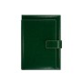 NOVASKIN Agenda B5 EXCLUSIVE Kelly green