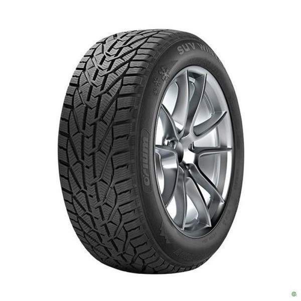 Orium 195/65R15 91H Winter zimska