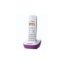 PANASONIC KX-TG1611FXF
