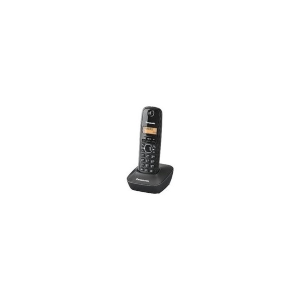 PANASONIC KX-TG1611FXH