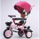 Playtime 449 Tricikl sa tendom roze