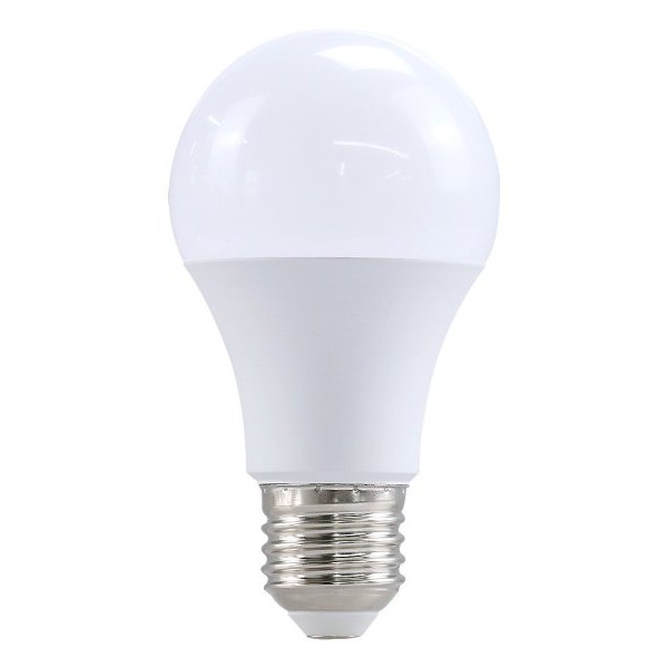 RABALUX 79061 SMD LED E27 10W sijalica