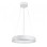 RABALUX Ceilo 72002 LED 38 W Visilica