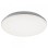 RABALUX Eric 7979 LED plafonjera