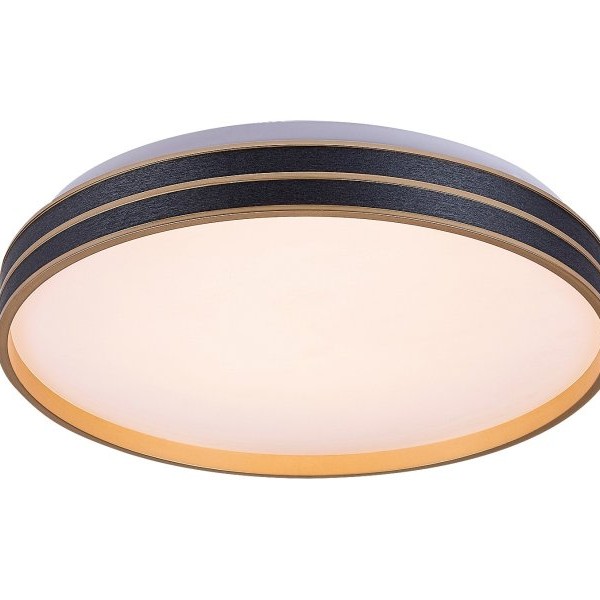 RABALUX Gandor 71141 LED plafonjera