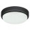 RABALUX Hort 7407 LED zidna/plafonska lampa