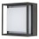 RABALUX Mendoza 7110 LED zidna lampa