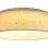 RABALUX Otilia 3308 LED plafonjera