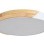 RABALUX Plafonjera maple bela 3527