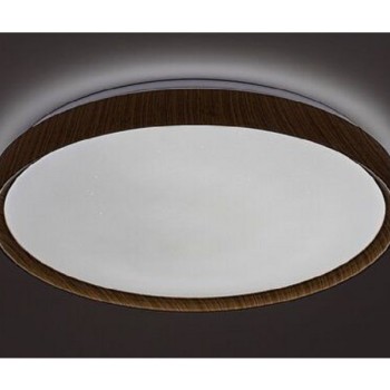 RABALUX Plafonjera sherwood bukva 3500