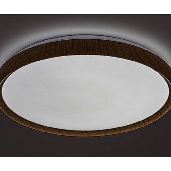 RABALUX Plafonjera sherwood bukva 3500