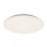 RABALUX Rorik 71124 LED 24 W Plafonjera