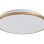 RABALUX Slava 75058 LED plafonjera
