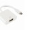 S BOX Adapter HDMI /USB Type C
