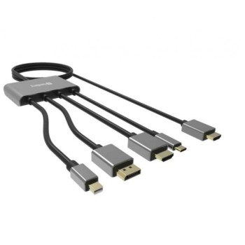 Sandberg Kabl-display HUB All-In-One USB C/DP/m DP/HDMI - HDMI 2m 509-21