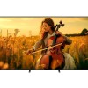 SONY Bravia 5 K-98XR55BP Mini LED 4K Ultra HD