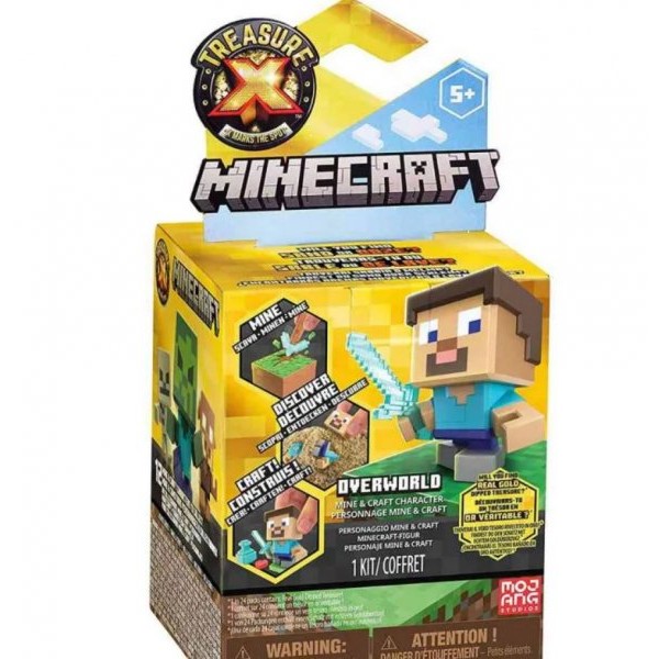 TREASURE X Minecraft overworl