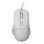 WHITE SHARK WS GM 5016 ECTOR Beli gejmerski miš