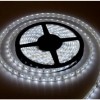 XLED Led traka 2835W-120 hladno bela120 Led/m IP20 12 W/m 18-20lm 5 m kotur ( XLED-D-2835WW-120 )
