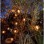 Yiwu Moon Star Solarni LED niz 2 m, 10 lampiona