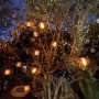 Yiwu Moon Star Solarni LED niz 2 m, 10 lampiona