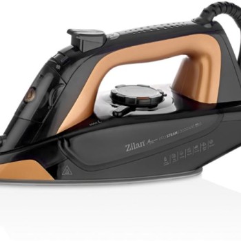 ZILAN Pegla na paru sa postoljem 3000W ZLN4261