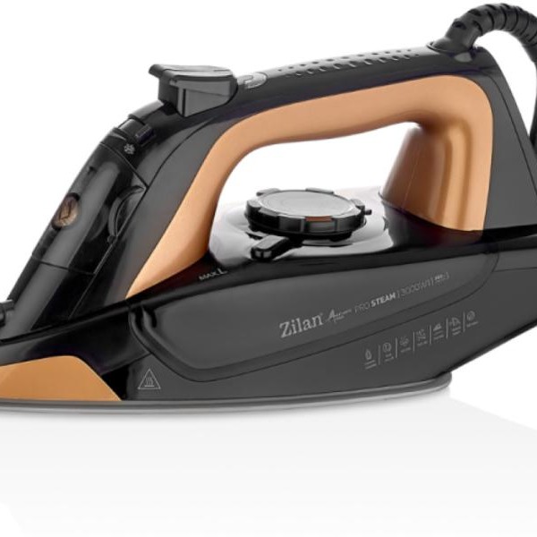 ZILAN Pegla na paru sa postoljem 3000W ZLN4261